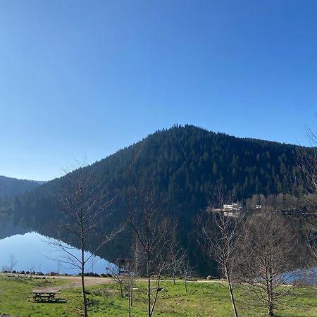 Chalet Authentique Au Calme, En Lisiere De Foret, Montagne, Sentiers 15Mn Gerardmer & Alsace "Chalet Mon Beau Sapin" Anould Kültér fotó