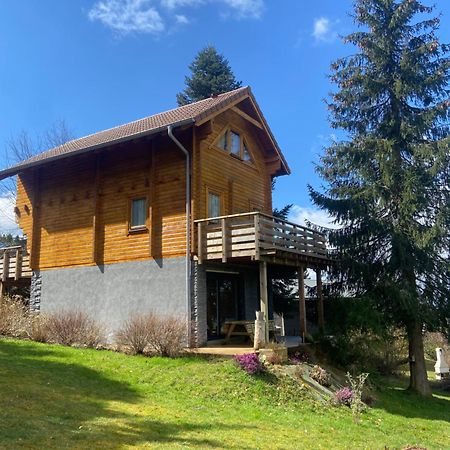 Chalet Authentique Au Calme, En Lisiere De Foret, Montagne, Sentiers 15Mn Gerardmer & Alsace "Chalet Mon Beau Sapin" Anould Kültér fotó