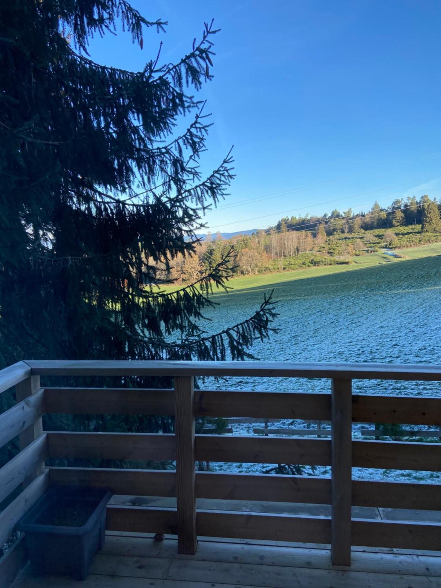 Chalet Authentique Au Calme, En Lisiere De Foret, Montagne, Sentiers 15Mn Gerardmer & Alsace "Chalet Mon Beau Sapin" Anould Kültér fotó