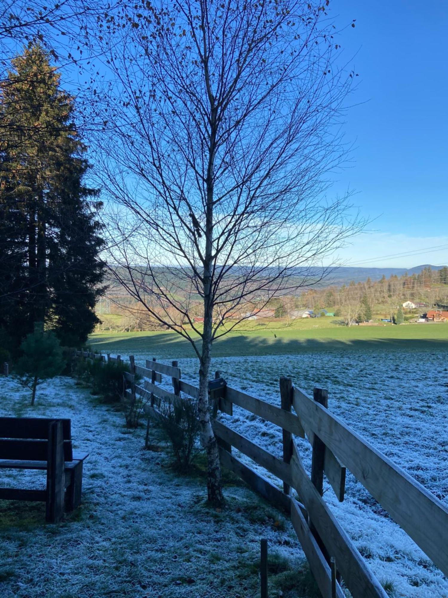 Chalet Authentique Au Calme, En Lisiere De Foret, Montagne, Sentiers 15Mn Gerardmer & Alsace "Chalet Mon Beau Sapin" Anould Kültér fotó