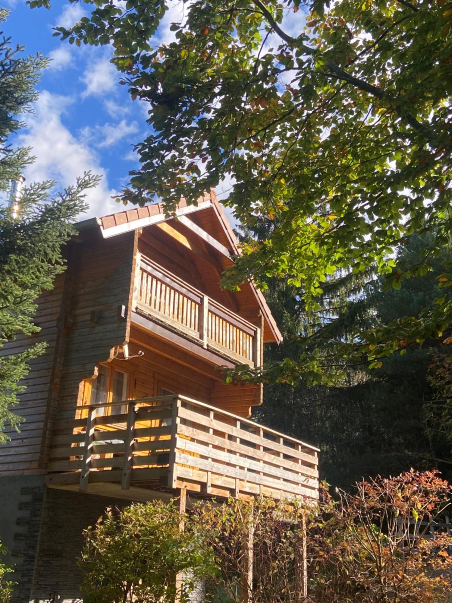 Chalet Authentique Au Calme, En Lisiere De Foret, Montagne, Sentiers 15Mn Gerardmer & Alsace "Chalet Mon Beau Sapin" Anould Kültér fotó