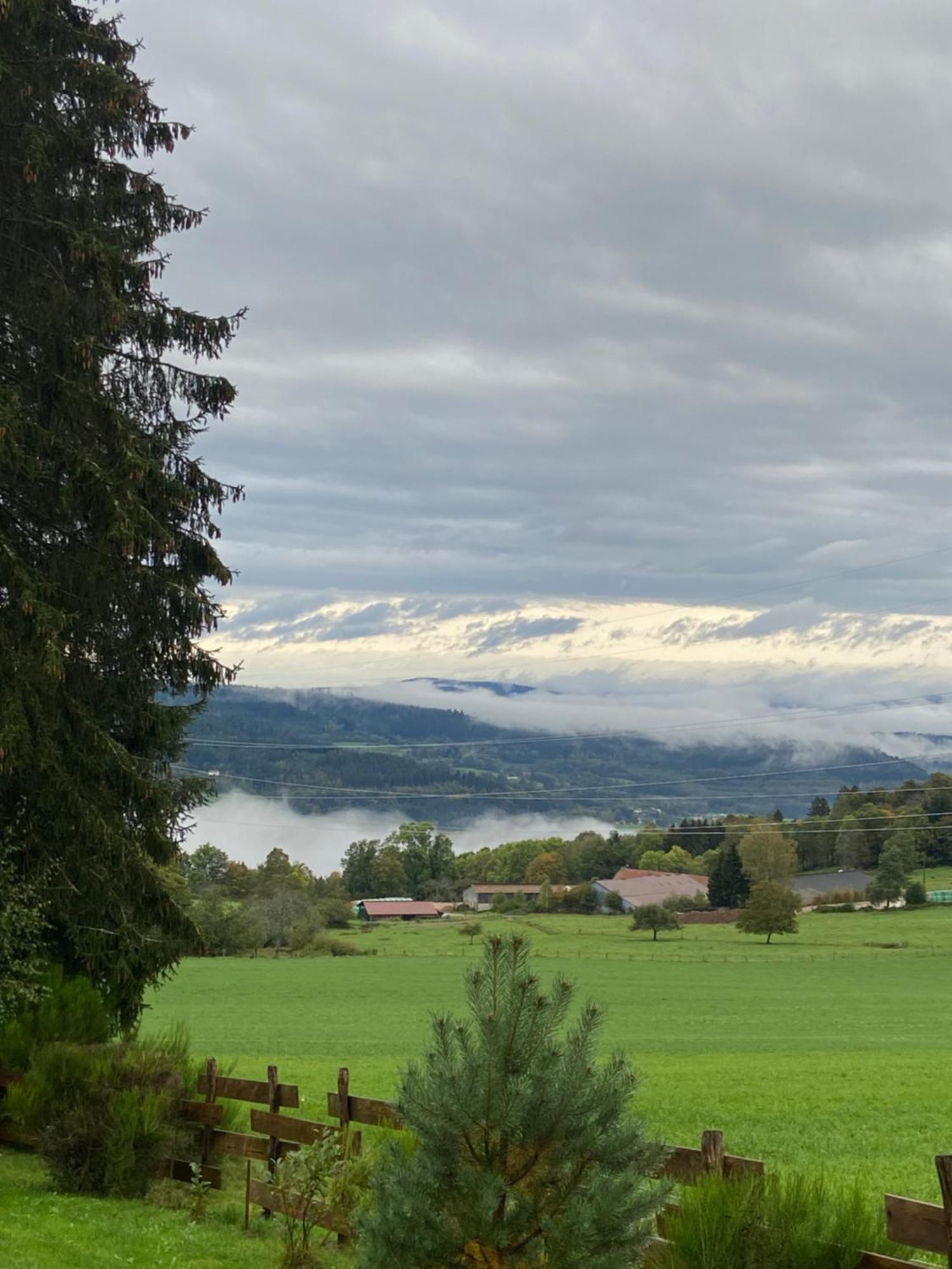 Chalet Authentique Au Calme, En Lisiere De Foret, Montagne, Sentiers 15Mn Gerardmer & Alsace "Chalet Mon Beau Sapin" Anould Kültér fotó