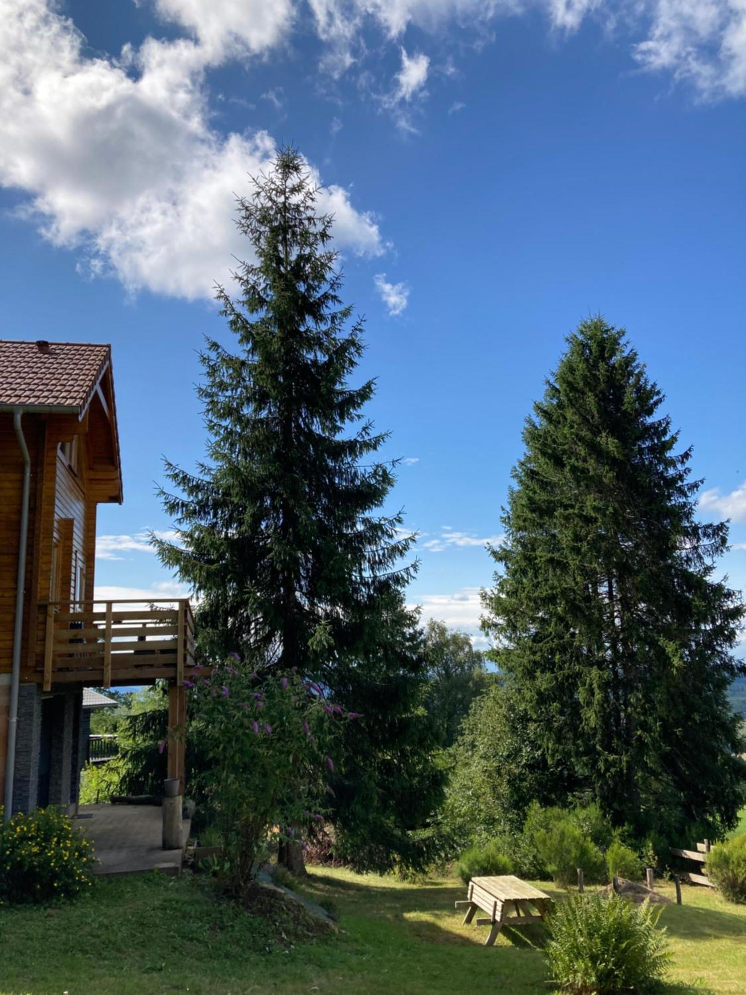 Chalet Authentique Au Calme, En Lisiere De Foret, Montagne, Sentiers 15Mn Gerardmer & Alsace "Chalet Mon Beau Sapin" Anould Kültér fotó