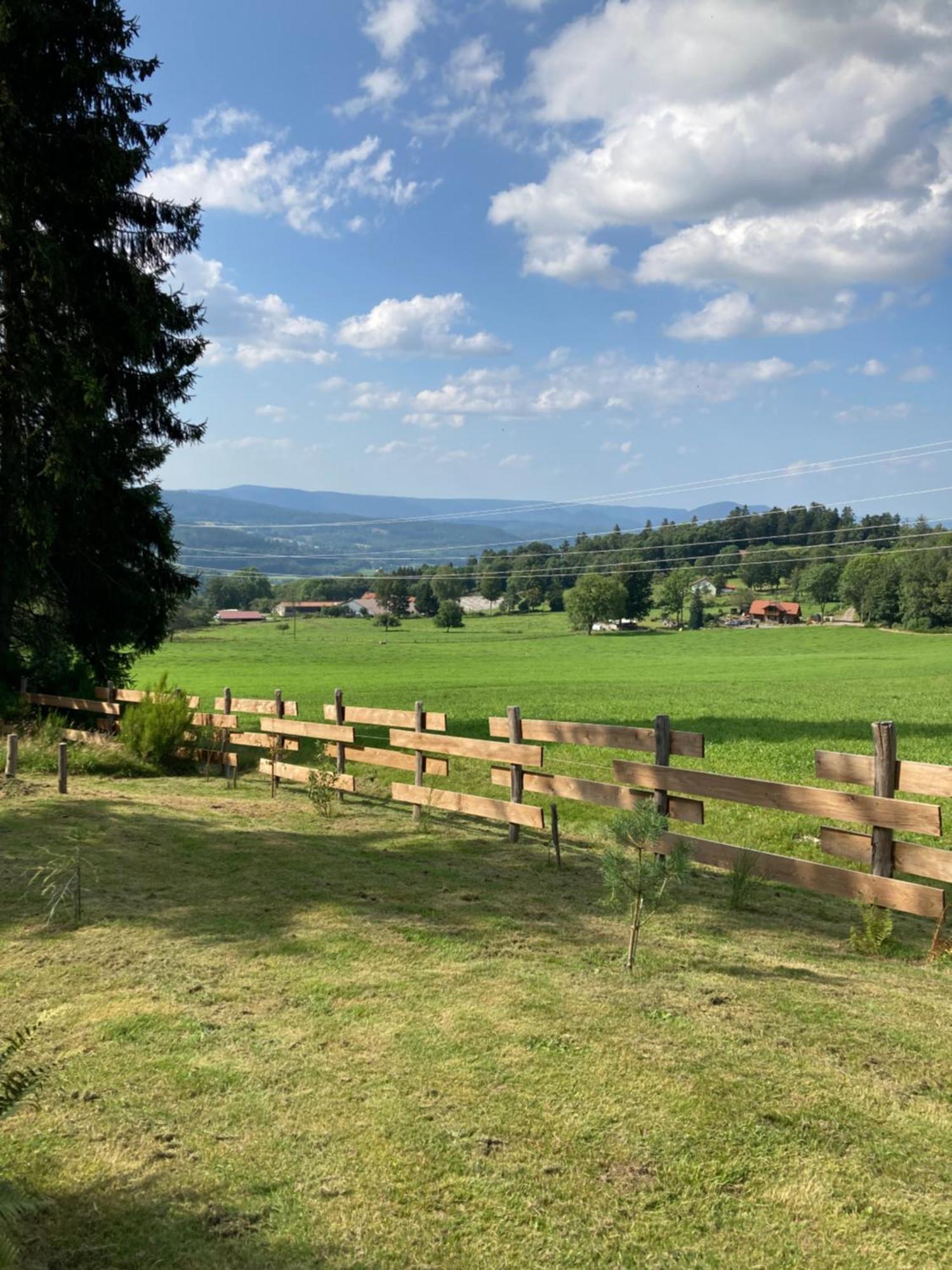 Chalet Authentique Au Calme, En Lisiere De Foret, Montagne, Sentiers 15Mn Gerardmer & Alsace "Chalet Mon Beau Sapin" Anould Kültér fotó