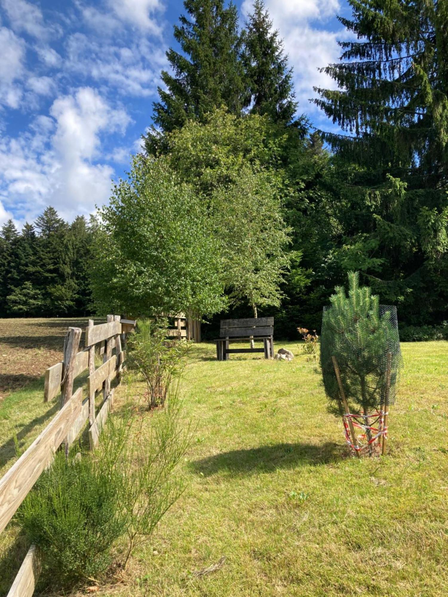 Chalet Authentique Au Calme, En Lisiere De Foret, Montagne, Sentiers 15Mn Gerardmer & Alsace "Chalet Mon Beau Sapin" Anould Kültér fotó