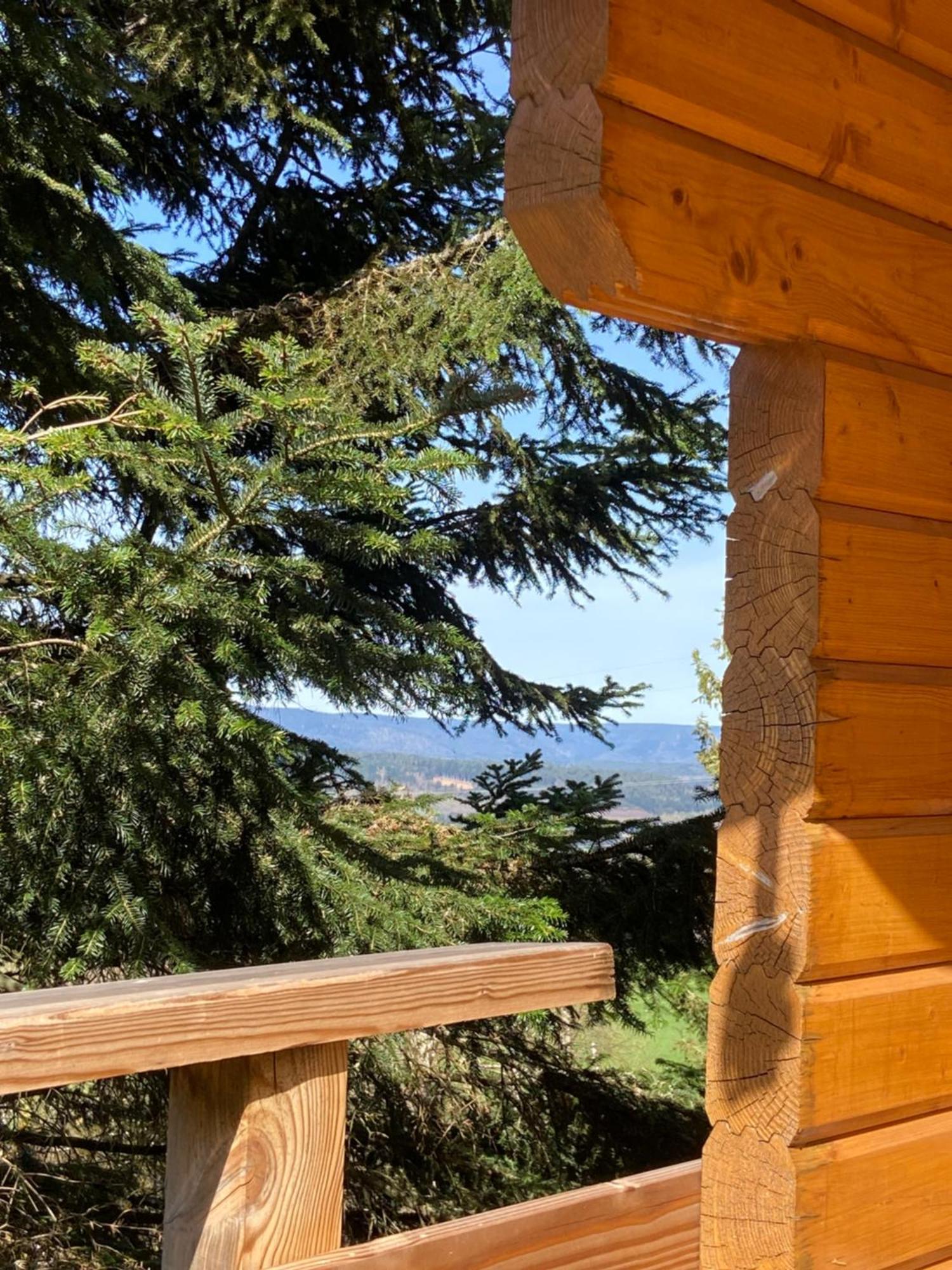 Chalet Authentique Au Calme, En Lisiere De Foret, Montagne, Sentiers 15Mn Gerardmer & Alsace "Chalet Mon Beau Sapin" Anould Kültér fotó