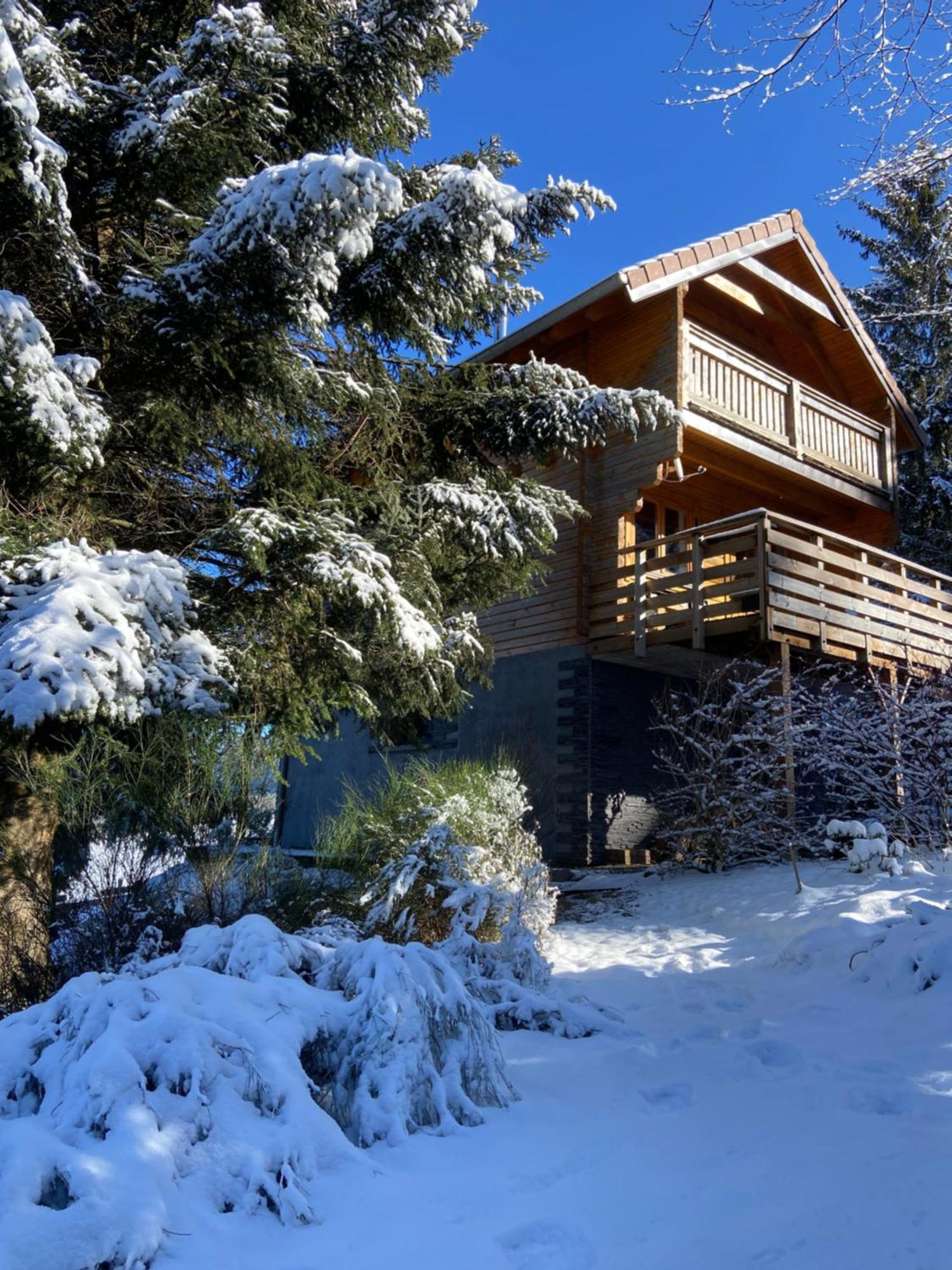 Chalet Authentique Au Calme, En Lisiere De Foret, Montagne, Sentiers 15Mn Gerardmer & Alsace "Chalet Mon Beau Sapin" Anould Kültér fotó