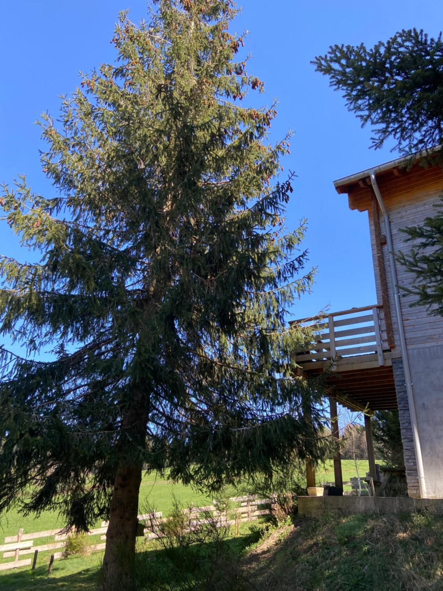 Chalet Authentique Au Calme, En Lisiere De Foret, Montagne, Sentiers 15Mn Gerardmer & Alsace "Chalet Mon Beau Sapin" Anould Kültér fotó